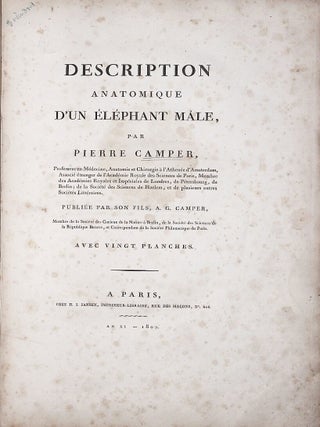 Description anatomique d'un elephant male