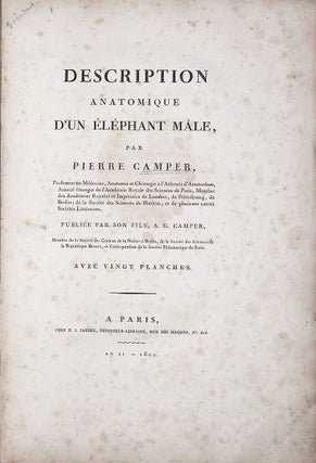 Description anatomique d'un elephant male