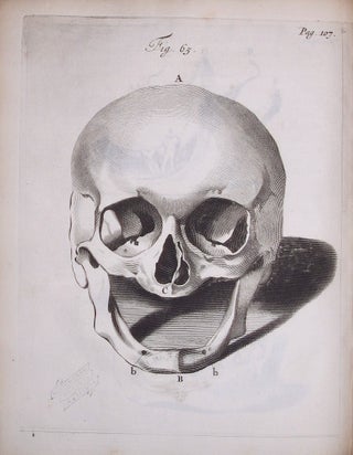 Observationum Anatomico-Chirurgicarum Centuria Accedit Catalogus Rariorum, quae in Museo Ruyschiano asservantur...