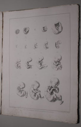 Item #001930 Icones embryonum humanorum. Samuel Theodor von SOEMMERRING