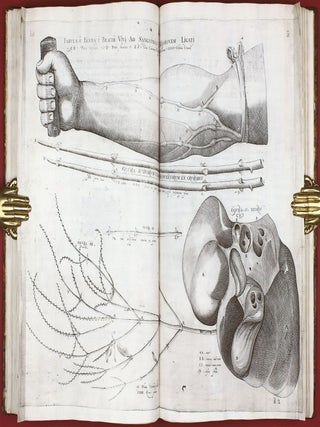Opera physica anatomica: de formato foetu, de venarum ostiolis, de formatione ovi et pulli, de locutione et eius instrumentis, de brutorum loquela. . .