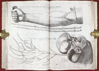 Opera physica anatomica: de formato foetu, de venarum ostiolis, de formatione ovi et pulli, de locutione et eius instrumentis, de brutorum loquela. . .
