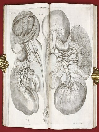 Opera physica anatomica: de formato foetu, de venarum ostiolis, de formatione ovi et pulli, de locutione et eius instrumentis, de brutorum loquela. . .