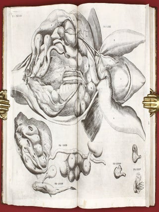 Opera physica anatomica: de formato foetu, de venarum ostiolis, de formatione ovi et pulli, de locutione et eius instrumentis, de brutorum loquela. . .