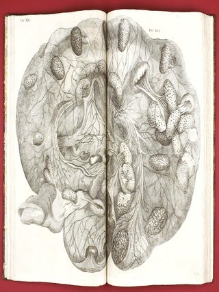 Opera physica anatomica: de formato foetu, de venarum ostiolis, de formatione ovi et pulli, de locutione et eius instrumentis, de brutorum loquela. . .