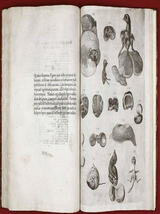 Opera physica anatomica: de formato foetu, de venarum ostiolis, de formatione ovi et pulli, de locutione et eius instrumentis, de brutorum loquela. . .