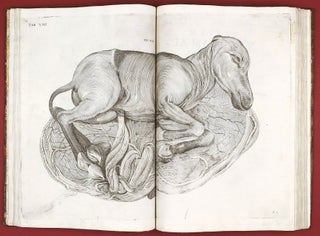 Opera physica anatomica: de formato foetu, de venarum ostiolis, de formatione ovi et pulli, de locutione et eius instrumentis, de brutorum loquela. . .