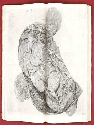Opera physica anatomica: de formato foetu, de venarum ostiolis, de formatione ovi et pulli, de locutione et eius instrumentis, de brutorum loquela. . .
