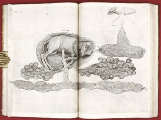 Opera physica anatomica: de formato foetu, de venarum ostiolis, de formatione ovi et pulli, de locutione et eius instrumentis, de brutorum loquela. . .