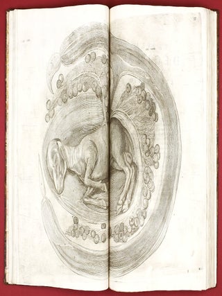 Opera physica anatomica: de formato foetu, de venarum ostiolis, de formatione ovi et pulli, de locutione et eius instrumentis, de brutorum loquela. . .