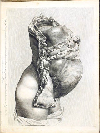 Anatomia uteri humani gravidi tabulis illustrata. The Anatomy of the Human Gravid Uterus exhibited in Figures.