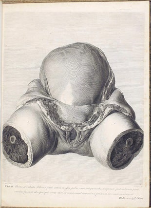 Anatomia uteri humani gravidi tabulis illustrata. The Anatomy of the Human Gravid Uterus exhibited in Figures.