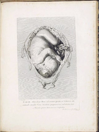 Anatomia uteri humani gravidi tabulis illustrata. The Anatomy of the Human Gravid Uterus exhibited in Figures.