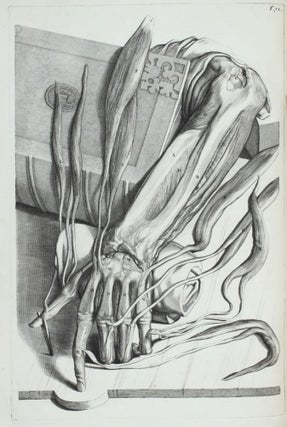 Item #001971 Anatomia Humani Corporis, centum & quinque tabulis, per G. de Lairesse ad vivum...