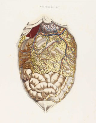 Anatomia universale [...] rappresentata con tavole in rame ridotte a minori forme di quelle della grande edizione pisana per Antonio Serantoni.