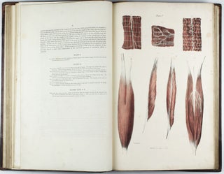 A series of anatomical plates, in lithography with references and physiological comments, illustrating the structure of the different parts of the human body.