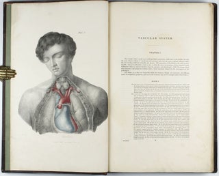 A series of anatomical plates, in lithography with references and physiological comments, illustrating the structure of the different parts of the human body.