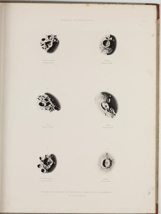 Astronomische Beobachtungen an der K.K. Sternwarte zu Prag im Jahre 1884, in den Jahren 1885 [- 1909].