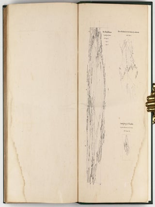 Der Mond nach seinen kosmischen und individuellen Verhältnissen oder allgemeine vergleichende Selenographie. Mit besonderer Beziehung auf die von den Verfassern herausgegebene Mappa Selenographica.
