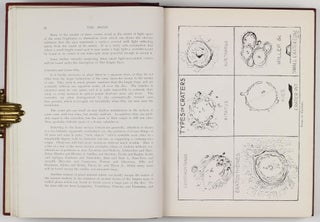The Moon with a description of its Surface Formations. Fully Illustrated by the Author's revised Map of the Moon in 25 Sections together with numerous Drawings, Charts and Photographs.