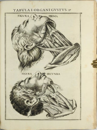 Pentaestheseion, hoc est de quinque sensibus liber, organorum fabricam variis iconibus fideliter aere incisis illustratam.