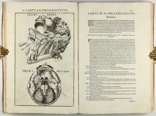 Pentaestheseion, hoc est de quinque sensibus liber, organorum fabricam variis iconibus fideliter aere incisis illustratam.