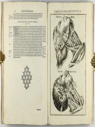 Pentaestheseion, hoc est de quinque sensibus liber, organorum fabricam variis iconibus fideliter aere incisis illustratam.