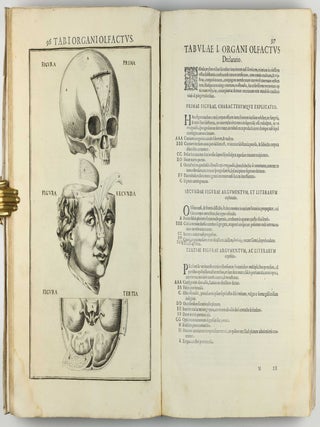 Pentaestheseion, hoc est de quinque sensibus liber, organorum fabricam variis iconibus fideliter aere incisis illustratam.
