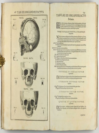Pentaestheseion, hoc est de quinque sensibus liber, organorum fabricam variis iconibus fideliter aere incisis illustratam.