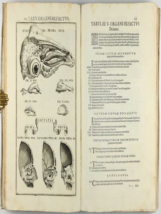 Pentaestheseion, hoc est de quinque sensibus liber, organorum fabricam variis iconibus fideliter aere incisis illustratam.
