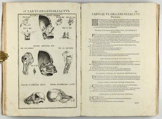 Pentaestheseion, hoc est de quinque sensibus liber, organorum fabricam variis iconibus fideliter aere incisis illustratam.