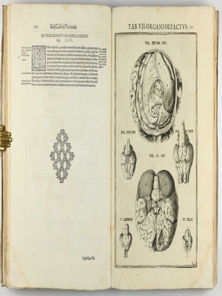 Pentaestheseion, hoc est de quinque sensibus liber, organorum fabricam variis iconibus fideliter aere incisis illustratam.