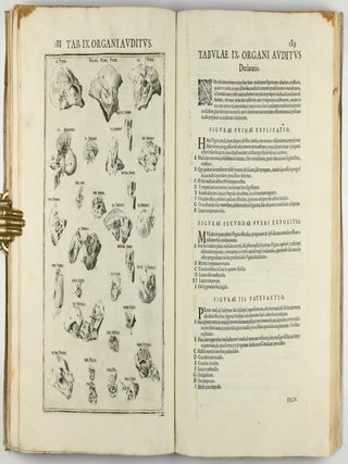 Pentaestheseion, hoc est de quinque sensibus liber, organorum fabricam variis iconibus fideliter aere incisis illustratam.