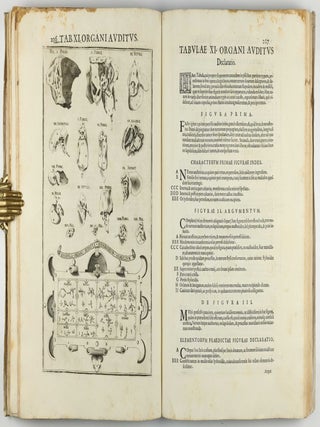 Pentaestheseion, hoc est de quinque sensibus liber, organorum fabricam variis iconibus fideliter aere incisis illustratam.