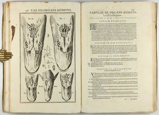 Pentaestheseion, hoc est de quinque sensibus liber, organorum fabricam variis iconibus fideliter aere incisis illustratam.