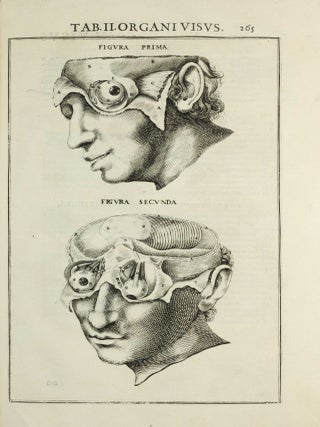 Pentaestheseion, hoc est de quinque sensibus liber, organorum fabricam variis iconibus fideliter aere incisis illustratam.