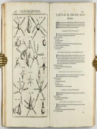 Pentaestheseion, hoc est de quinque sensibus liber, organorum fabricam variis iconibus fideliter aere incisis illustratam.