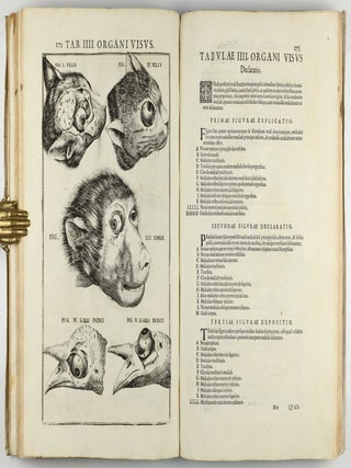 Pentaestheseion, hoc est de quinque sensibus liber, organorum fabricam variis iconibus fideliter aere incisis illustratam.