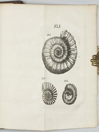 Traité de petrifications.