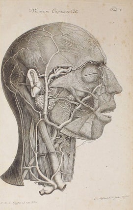 Item #002339 Observationes anatomicae. Historia monstri bicorporis duobus capitis, tribus...
