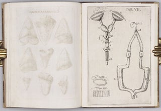 Elementorum myologiae specimen, seu musculi descriptio geometrica. Cui accedunt canis carchariae dissectum caput, et dissectus piscis ex canum genere.