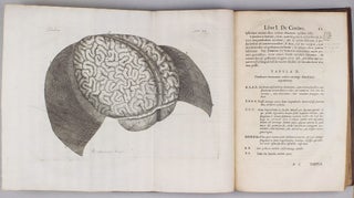 Neurographia universalis. Hoc est, omnium corporis humani nervorum, simul & cerebri, medullaeque spinalis descriptio anatomica.