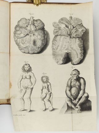 Orang-Outang, sive Homo Sylvestris: or, the Anatomy of a Pygmie Compared with a Monkey, an Ape, and a Man... [ISSUED WITH:] A Philological Essay Concerning Pygmies...