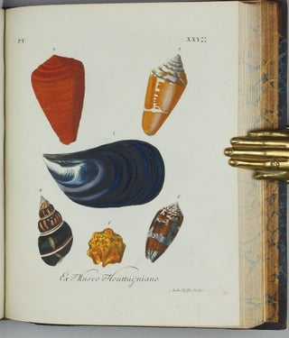 Vergnügen der Augen und des Gemüths, in Vorstellung einer allgemeinen Sammlung von Schnecken und Muscheln, welche im Meer gefunden werden.