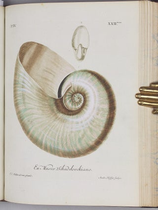 Vergnügen der Augen und des Gemüths, in Vorstellung einer allgemeinen Sammlung von Schnecken und Muscheln, welche im Meer gefunden werden.