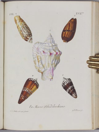 Vergnügen der Augen und des Gemüths, in Vorstellung einer allgemeinen Sammlung von Schnecken und Muscheln, welche im Meer gefunden werden.