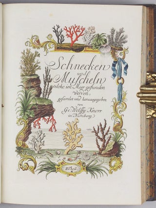 Vergnügen der Augen und des Gemüths, in Vorstellung einer allgemeinen Sammlung von Schnecken und Muscheln, welche im Meer gefunden werden.