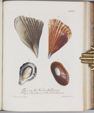 Vergnügen der Augen und des Gemüths, in Vorstellung einer allgemeinen Sammlung von Schnecken und Muscheln, welche im Meer gefunden werden.