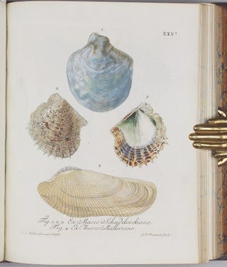 Vergnügen der Augen und des Gemüths, in Vorstellung einer allgemeinen Sammlung von Schnecken und Muscheln, welche im Meer gefunden werden.
