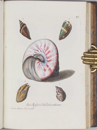 Vergnügen der Augen und des Gemüths, in Vorstellung einer allgemeinen Sammlung von Schnecken und Muscheln, welche im Meer gefunden werden.
